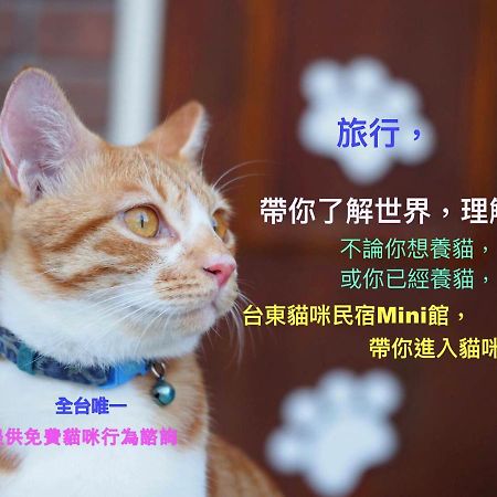 ミドリ ミニ ホステル T'ai-tung エクステリア 写真