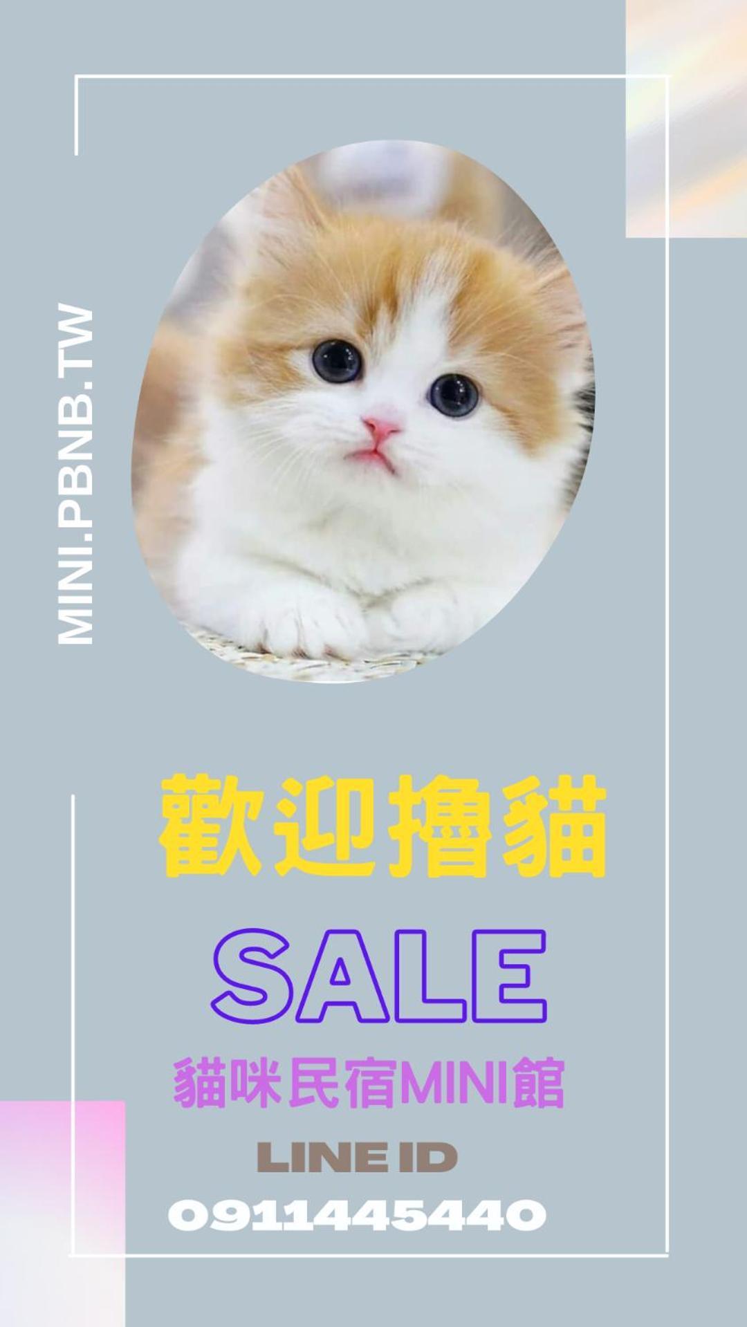 ミドリ ミニ ホステル T'ai-tung エクステリア 写真
